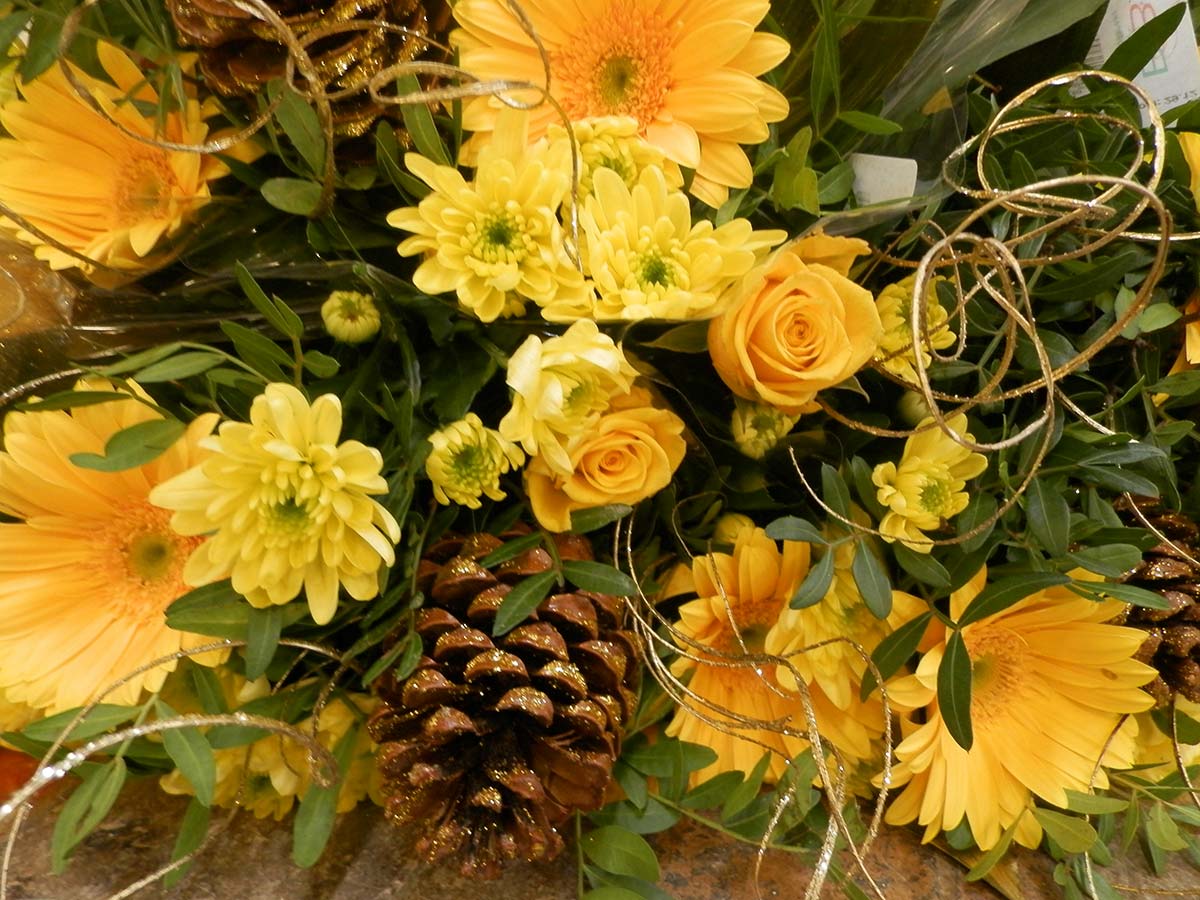 Particolari-Fiori-Pigne