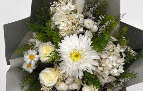 fiori-essiccati-bianco